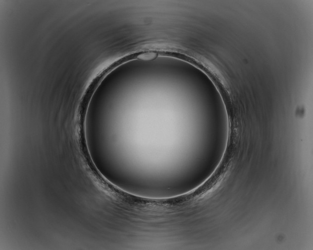 X0000100760981200806191203