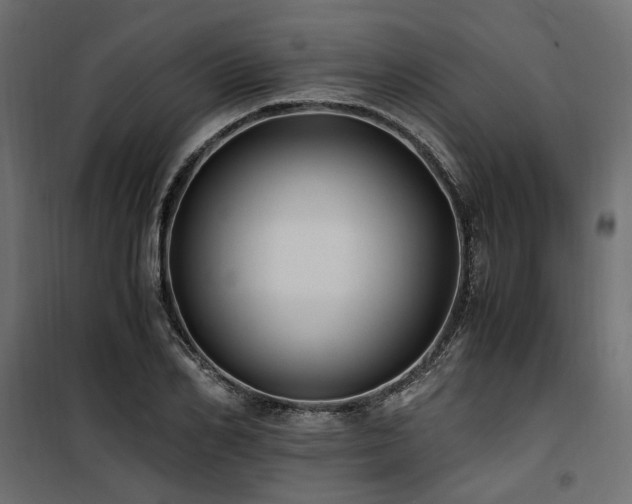 X0000100760982200806191203