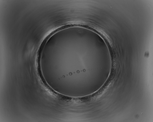 X0000100760983200806191203