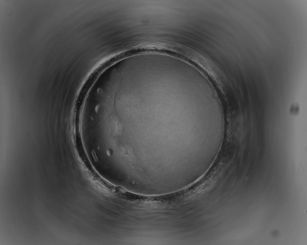 X0000100760984200806191203