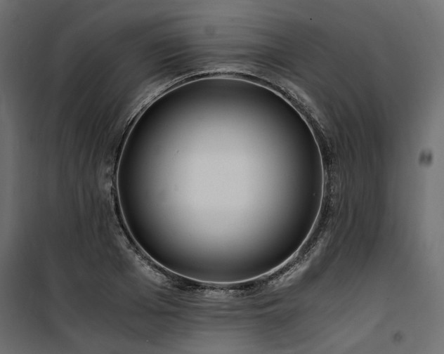 X0000100760985200806191203