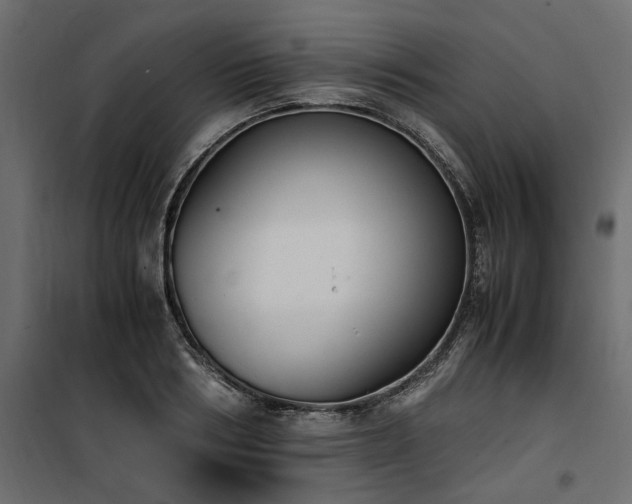 X0000100760986200806191203