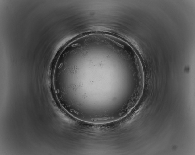 X0000100760987200806191203