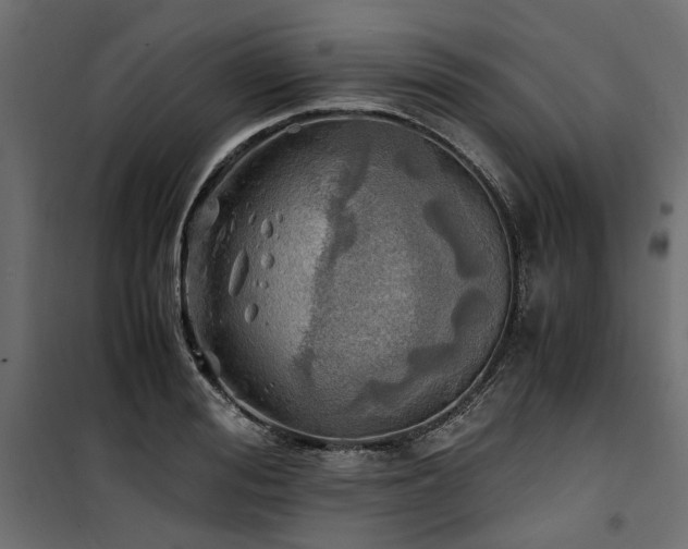 X0000100760988200806191203