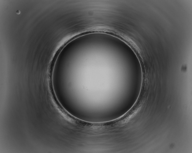 X0000100760989200806191203