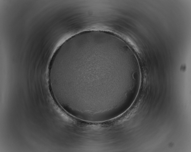 X0000100760990200806191203