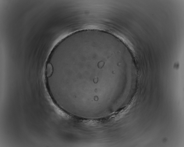 X0000100760991200806191203