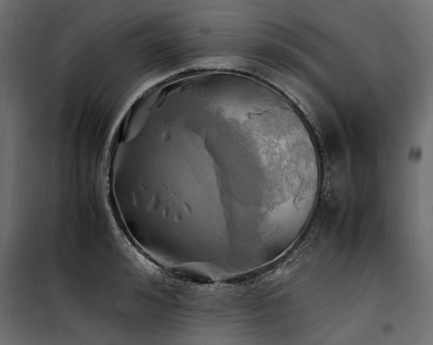 X0000100760992200806191203