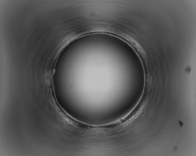 X0000100760993200806191203