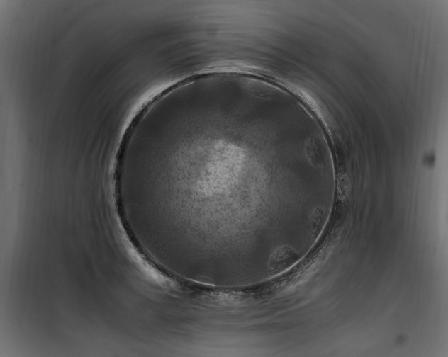 X0000100760995200806191203