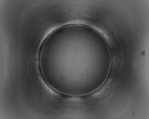 X0000100760998200806191203