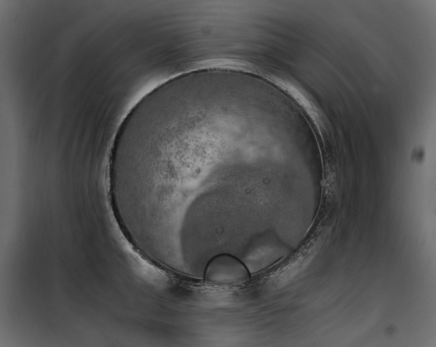 X0000100760999200806191203