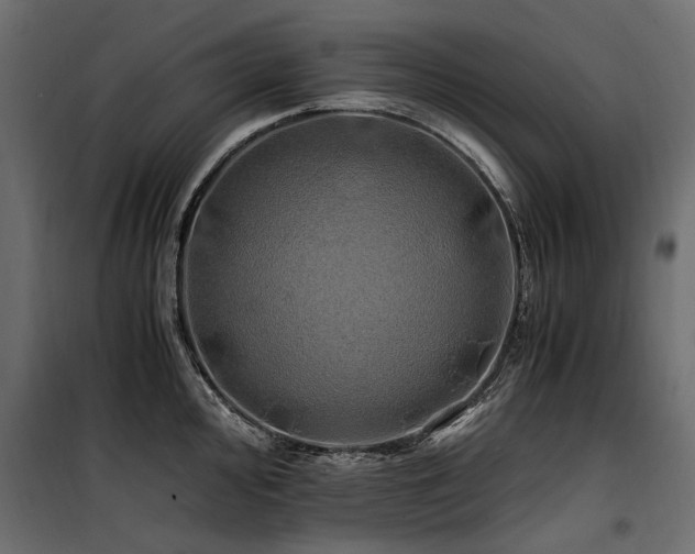 X0000100761000200806191203