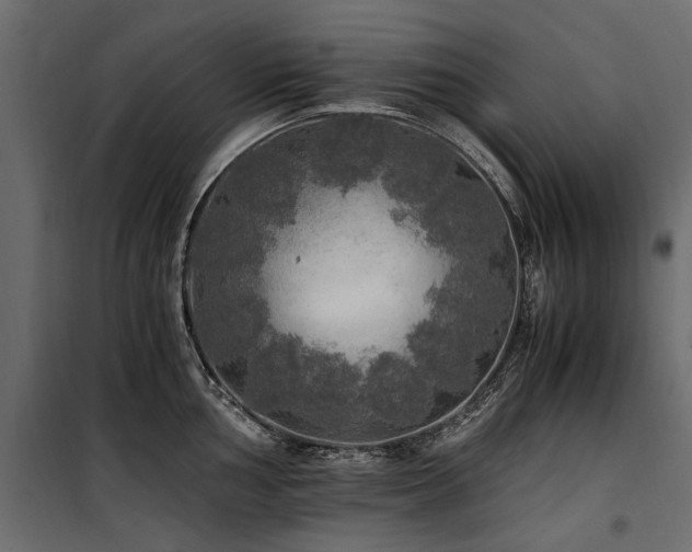 X0000100761002200806191203