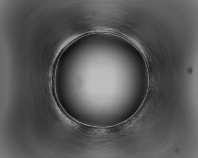 X0000100761003200806191203