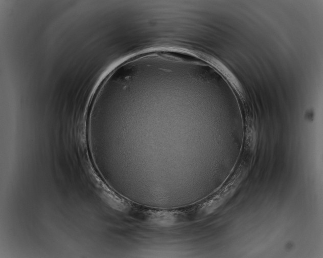 X0000100761004200806191203