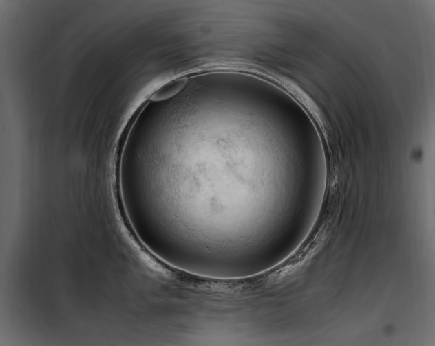 X0000100761005200806191203