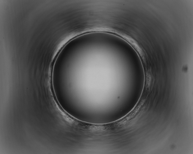 X0000100761006200806191203