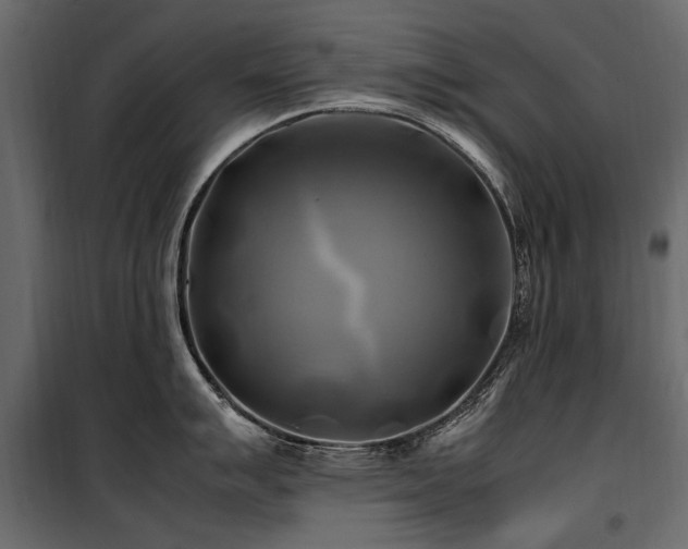 X0000100761007200806191203