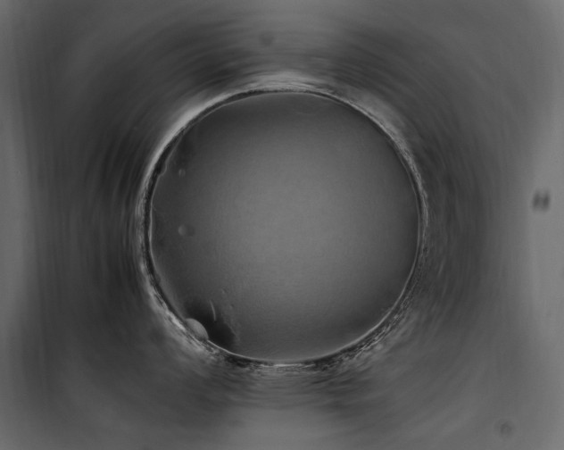 X0000100761008200806191203