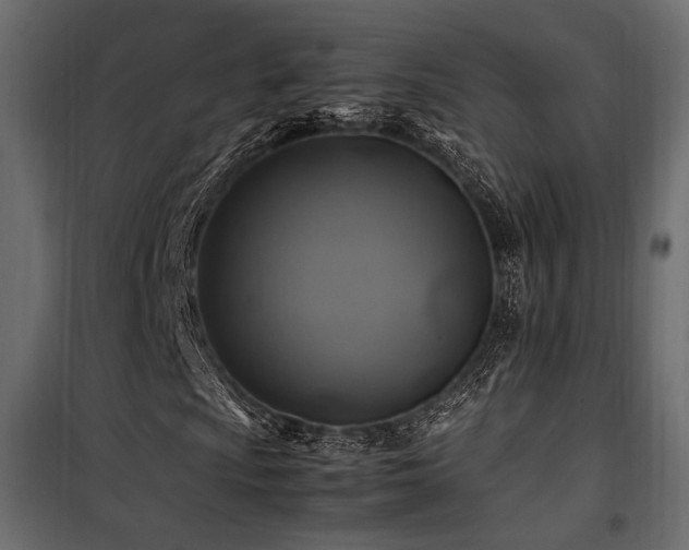 X0000100761009200806191202