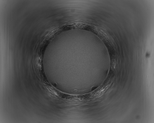 X0000100761010200806191202