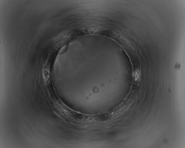 X0000100761011200806191202