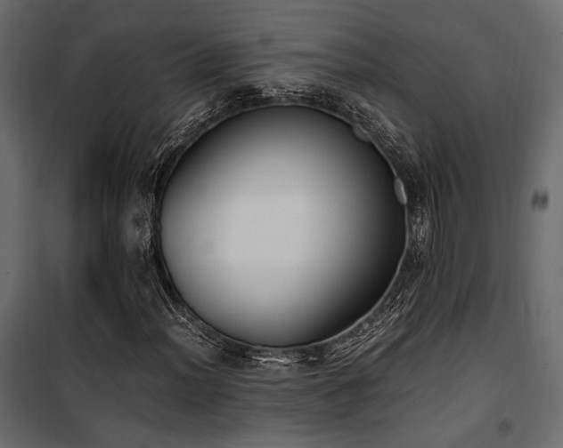 X0000100761012200806191202