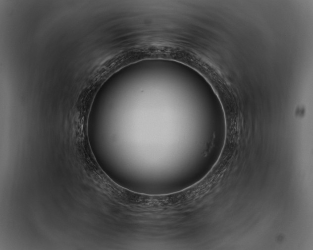 X0000100761013200806191202