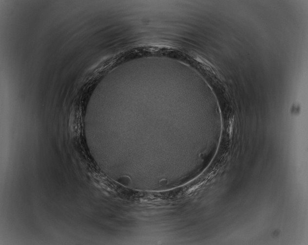 X0000100761014200806191202