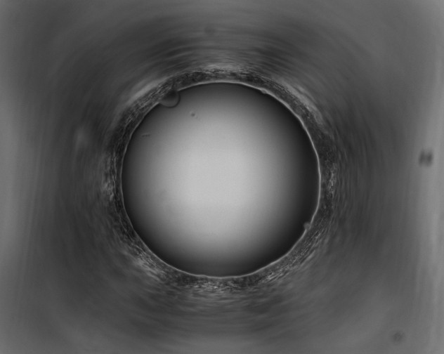 X0000100761015200806191202