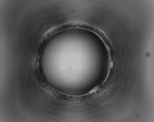 X0000100761016200806191202