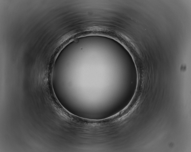 X0000100761017200806191202