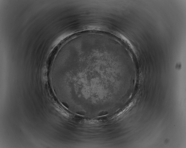 X0000100761019200806191202