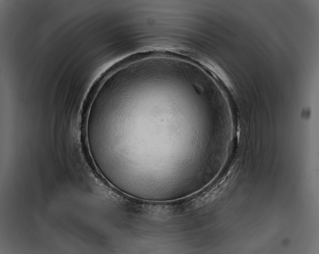 X0000100761020200806191202