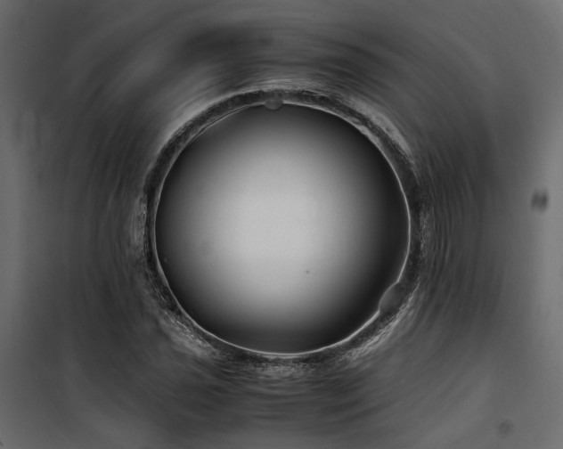 X0000100761021200806191202