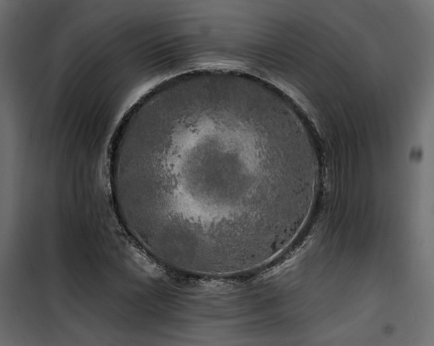 X0000100761022200806191202