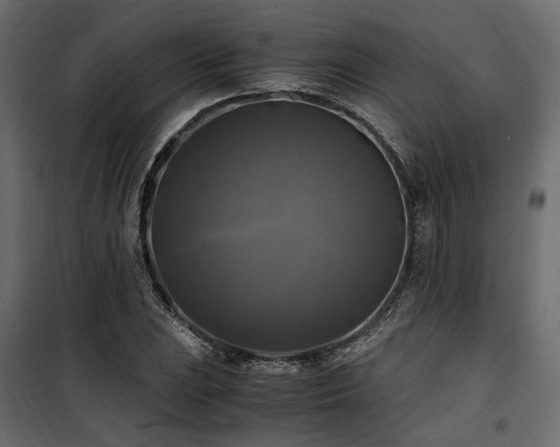 X0000100761023200806191202