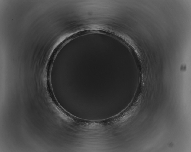 X0000100761024200806191202