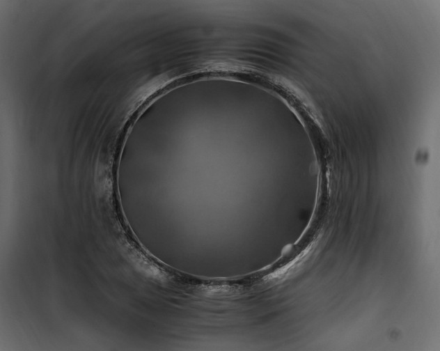 X0000100761025200806191202