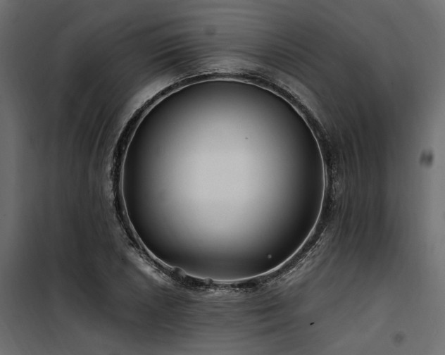 X0000100761026200806191202