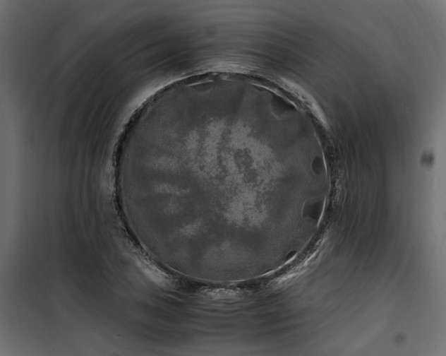 X0000100761027200806191202