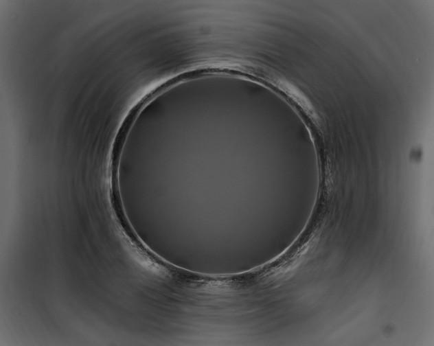 X0000100761028200806191202