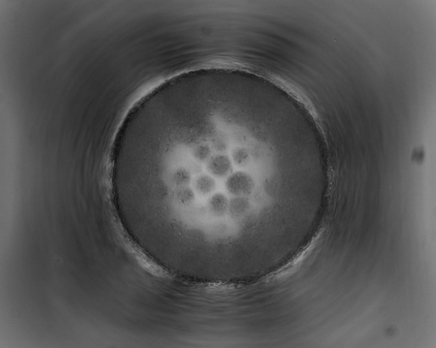 X0000100761029200806191202