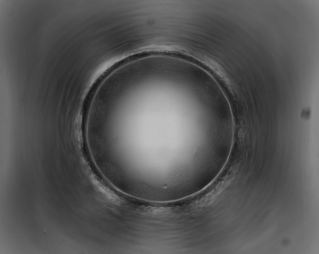 X0000100761030200806191202