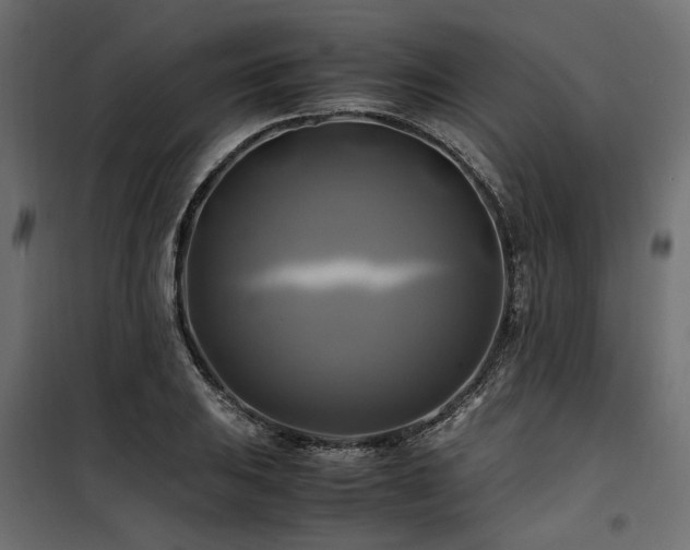 X0000100761031200806191202