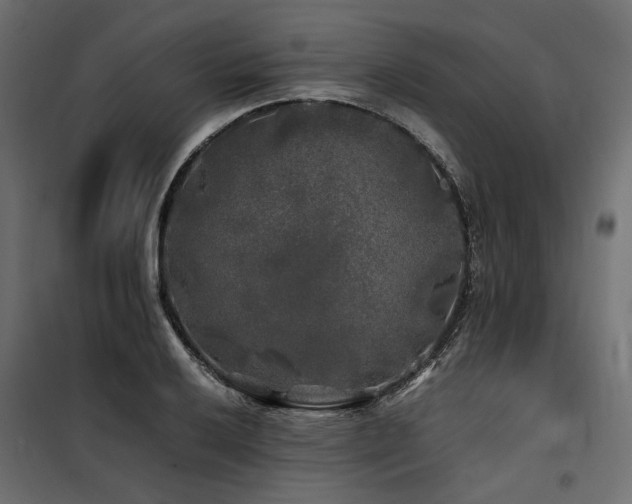 X0000100761032200806191202