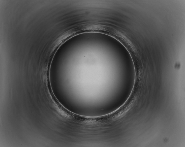 X0000100761033200806191202