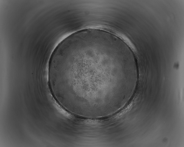 X0000100761036200806191202