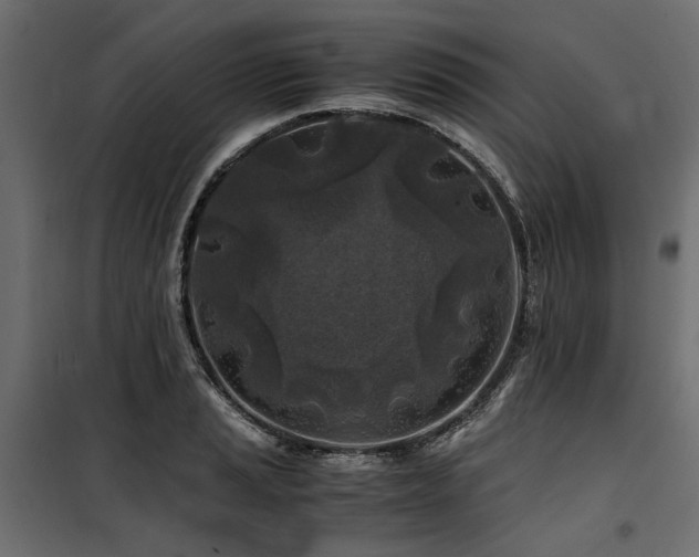 X0000100761037200806191202